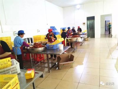 家門口的“扶貧工廠” 龍溪鎮以食品銷售為抓手，提升脫貧質量新亮點